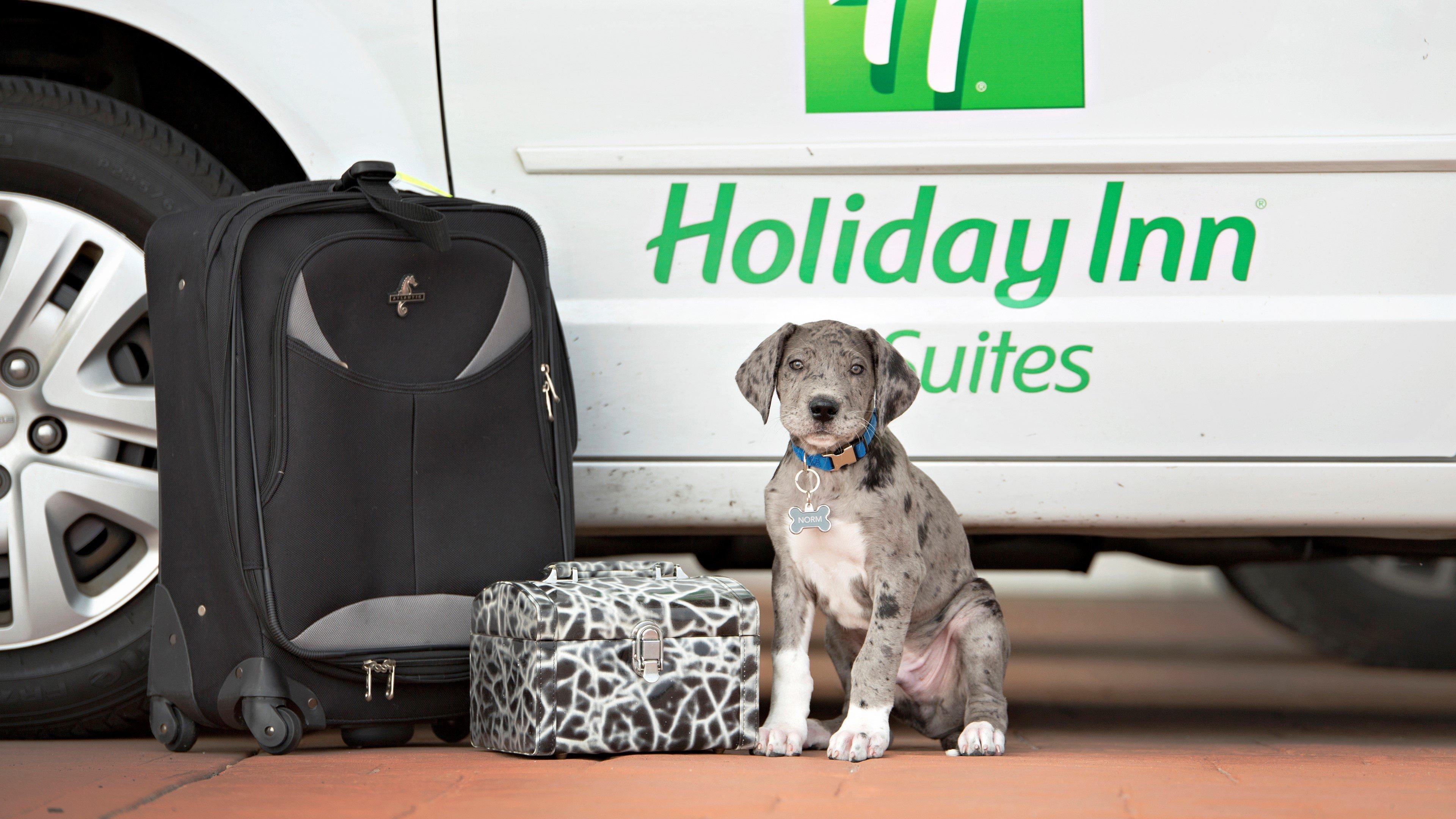 Holiday Inn Hotel & Suites Bloomington Airport By Ihg Eksteriør billede